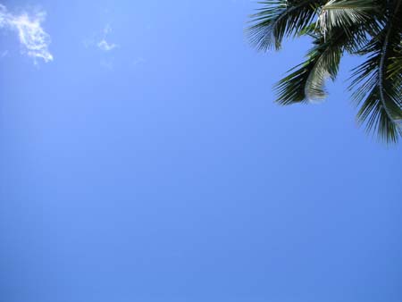 scuba06